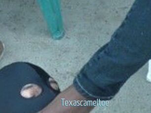Texascameltoe