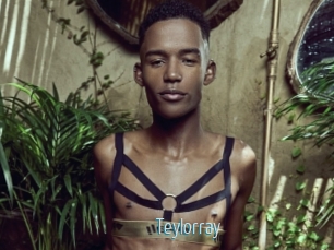 Teylorray