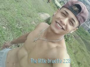 The_little_bruette_228