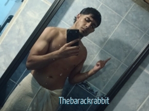 Thebarackrabbit