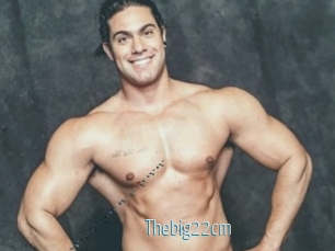 Thebig22cm
