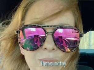 Thepoundtoy