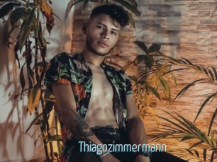 Thiagozimmermann