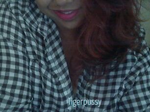 Tigerpussy