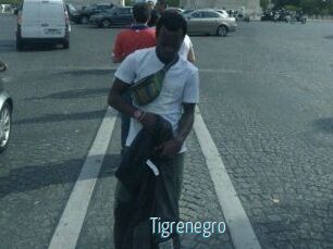 Tigrenegro
