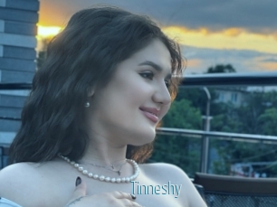 Tinneshy