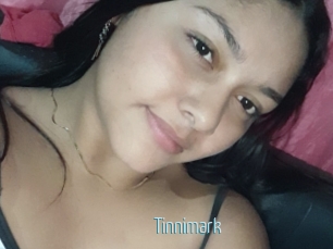 Tinnimark