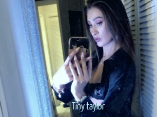Tiny_taylor