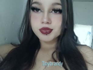 Tinybrandy