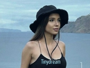 Tinydream