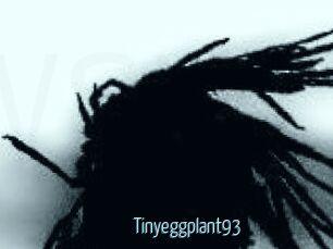 Tinyeggplant93