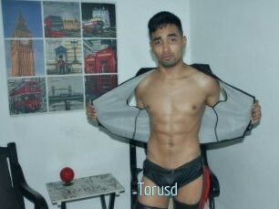Torusd