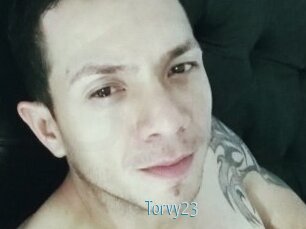 Torvy23