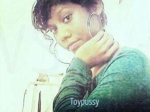 Toypussy