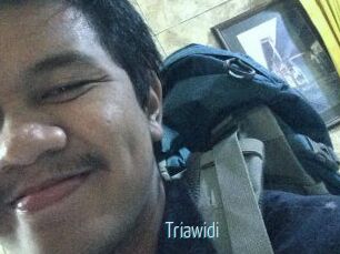 Triawidi