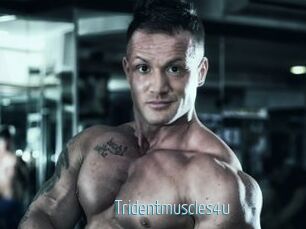 Tridentmuscles4u