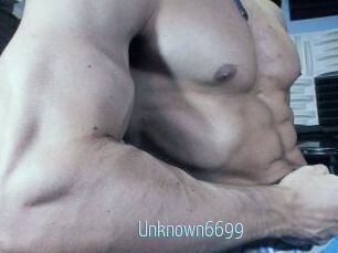 Unknown6699