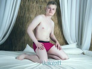 Urnicepitt