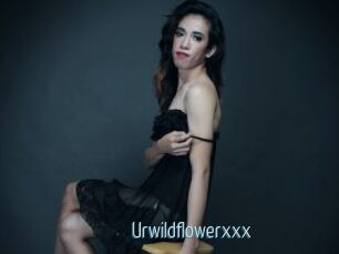 Urwildflowerxxx