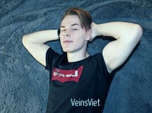 VeinsViet