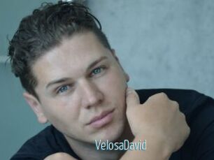 VelosaDavid