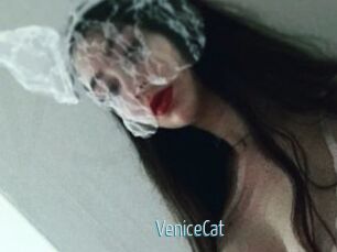 VeniceCat