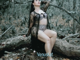 VenusKat