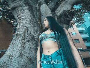 Venus_Walton