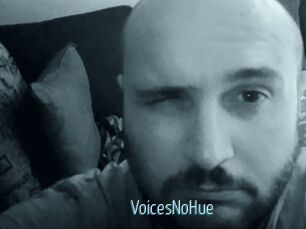 VoicesNoHue