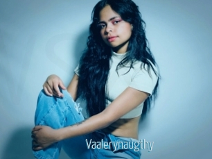 Vaalerynaugthy