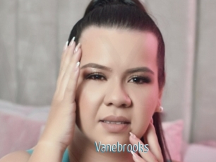 Vanebrooks