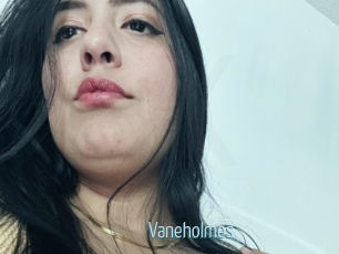 Vaneholmes