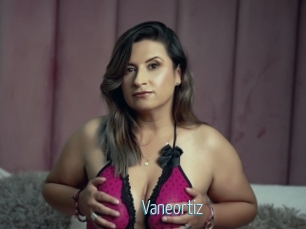 Vaneortiz