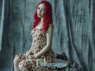 Vanessaamix