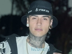 Vectorx073