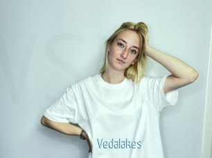 Vedalakes