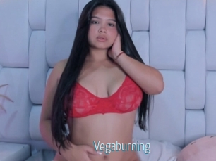 Vegaburning