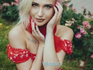 Velunavice