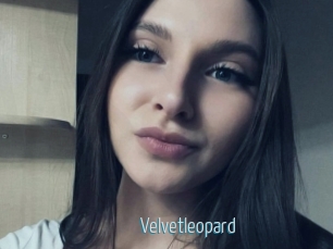 Velvetleopard