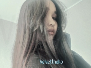 Velvettneko