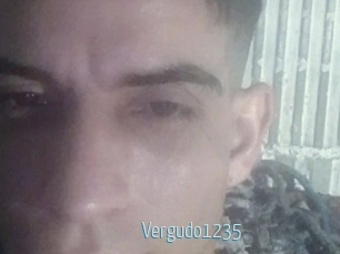 Vergudo1235