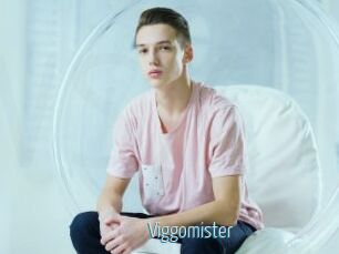 Viggomister