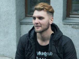Vikingrub
