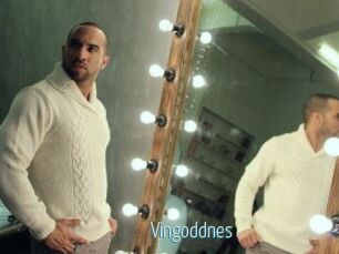 Vingoddnes