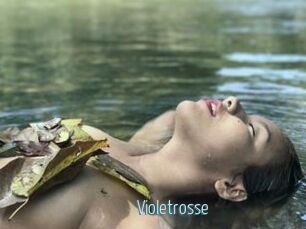 Violetrosse