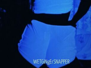 WETGiNgErSNAPPER