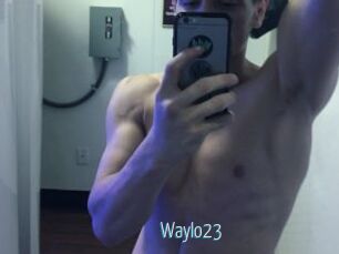 Waylo23