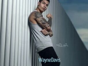 WayneDavis