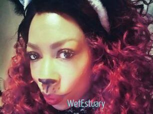WetEstuary