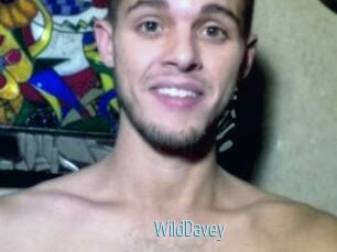 WildDavey